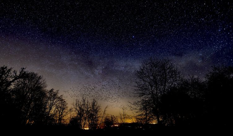 alt="Ich hatte einen Traum">