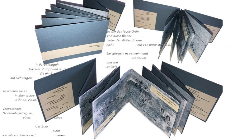 alt="Rilkes Hortensien. Blau" – Artist Book by Marlen Wagner, some impressions">