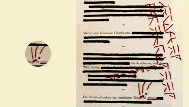 alt="Sonja Knoll, Ausschnitt aus "Spuren der Entschöpfung"">